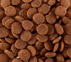 Happy Dog Trockenfutter für Hunde Supreme Sensible Africa Sale