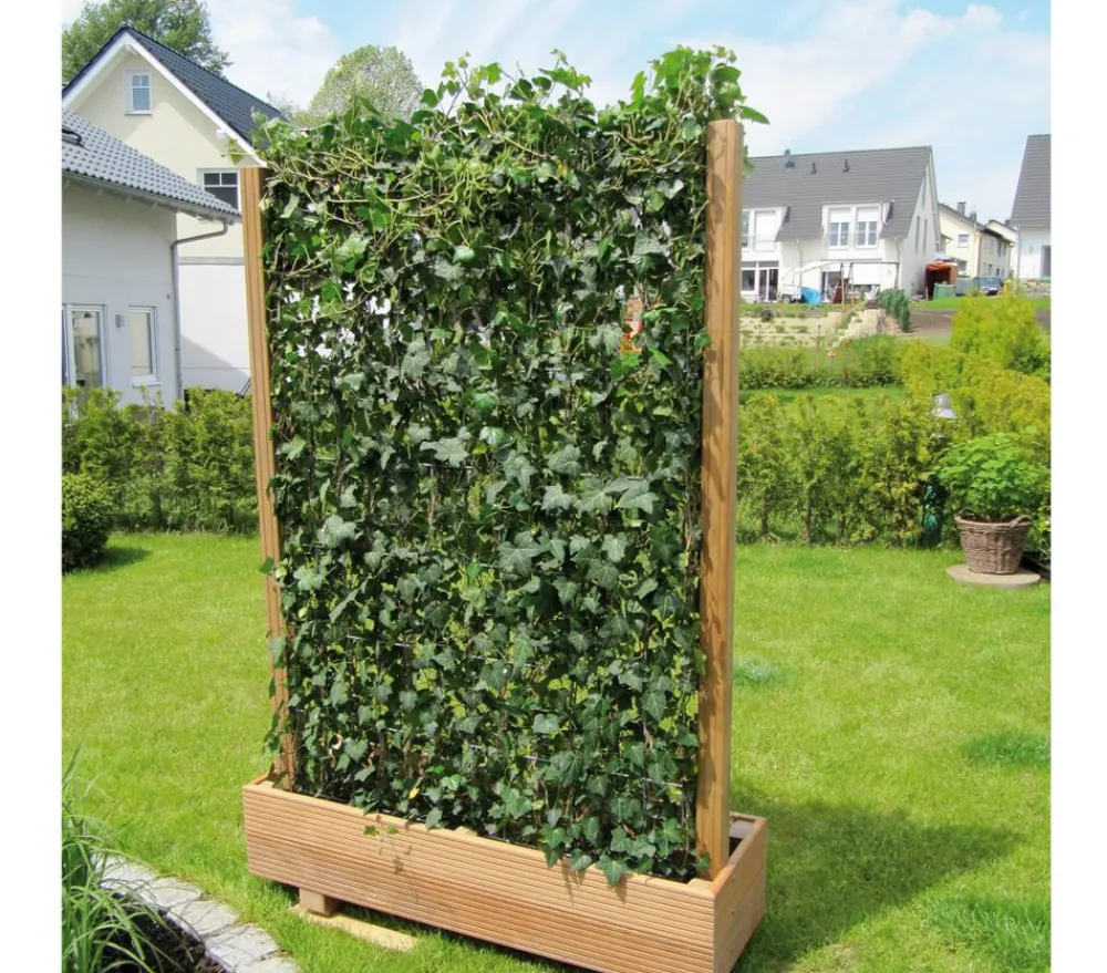 Hecke am laufenden Meter ® Balkonhecke - Efeu, ca. 130 cm Dunkelgrün Sale
