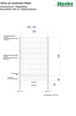 Hecke am laufenden Meter Fertighecken|Heckenpflanzen > ® Color - Efeu mit Clematis, ca. 180 cm