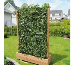 Hecke am laufenden Meter Fertighecken|Heckenpflanzen - ® 'Woerneri' - Efeu, ca. 180 cm Dunkelgrün