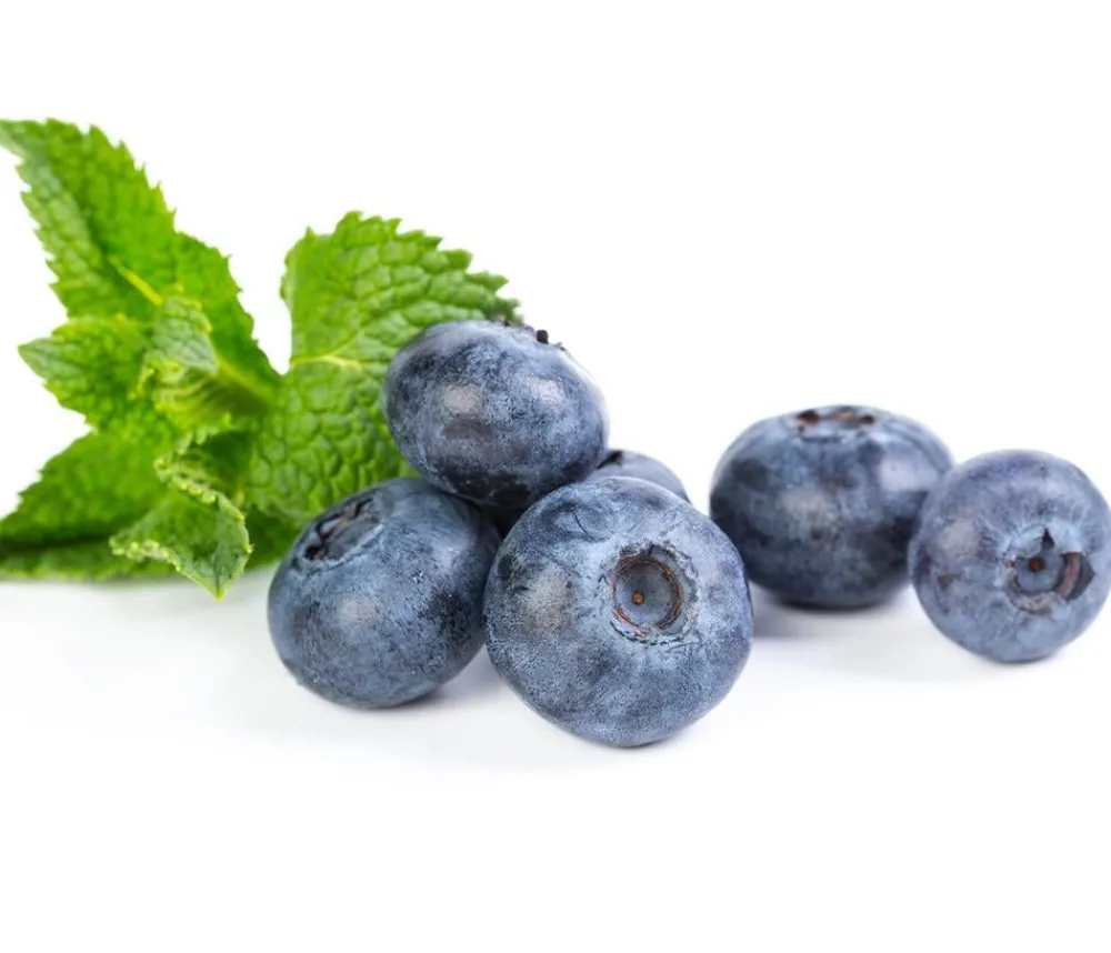 Dehner Heidelbeeren Beeren-Sets|Heidelbeeren - Heidelbeer-Set Blaubeer-Liebe, 4-teilig Dunkelblau