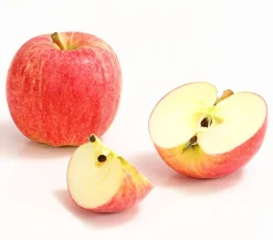 Dehner Obstbäume|Birnen- & Apfelbäume - Herbstapfel 'Gala' Rot