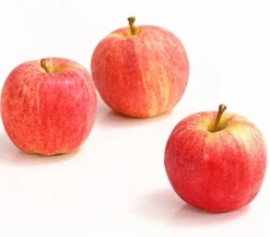 Dehner Obstbäume|Birnen- & Apfelbäume - Herbstapfel 'Gala' Rot