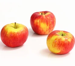 Dehner Obstbäume|Birnen- & Apfelbäume > Herbstapfel 'Topaz'