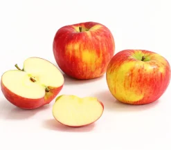 Dehner Herbstapfel 'Topaz' Rot Outlet