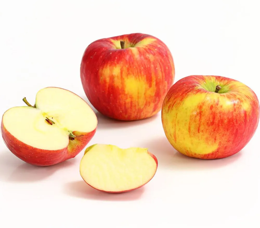 Dehner Herbstapfel 'Topaz' Rot Outlet