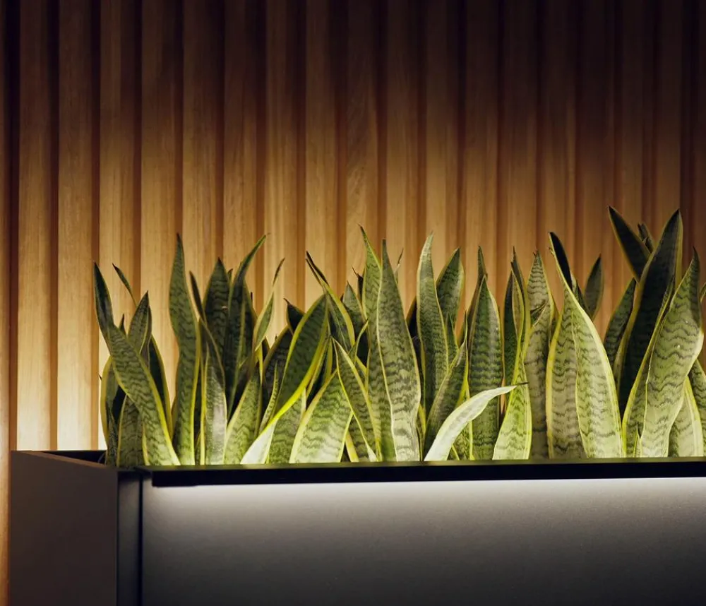 Herstera Pflanzkübel & Blumenkästen > Metall-Pflanzkasten Cube Xic LED, rechteckig,