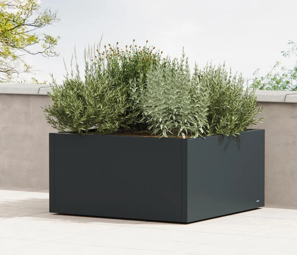 Herstera Pflanzkübel & Blumenkästen - Metall-Pflanzkasten Cube Low, quadratisch, , ca. B100/H50/T100 cm Anthrazit