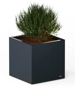 Herstera Metall-Pflanzkasten Cube LED, quadratisch, Anthrazit Best