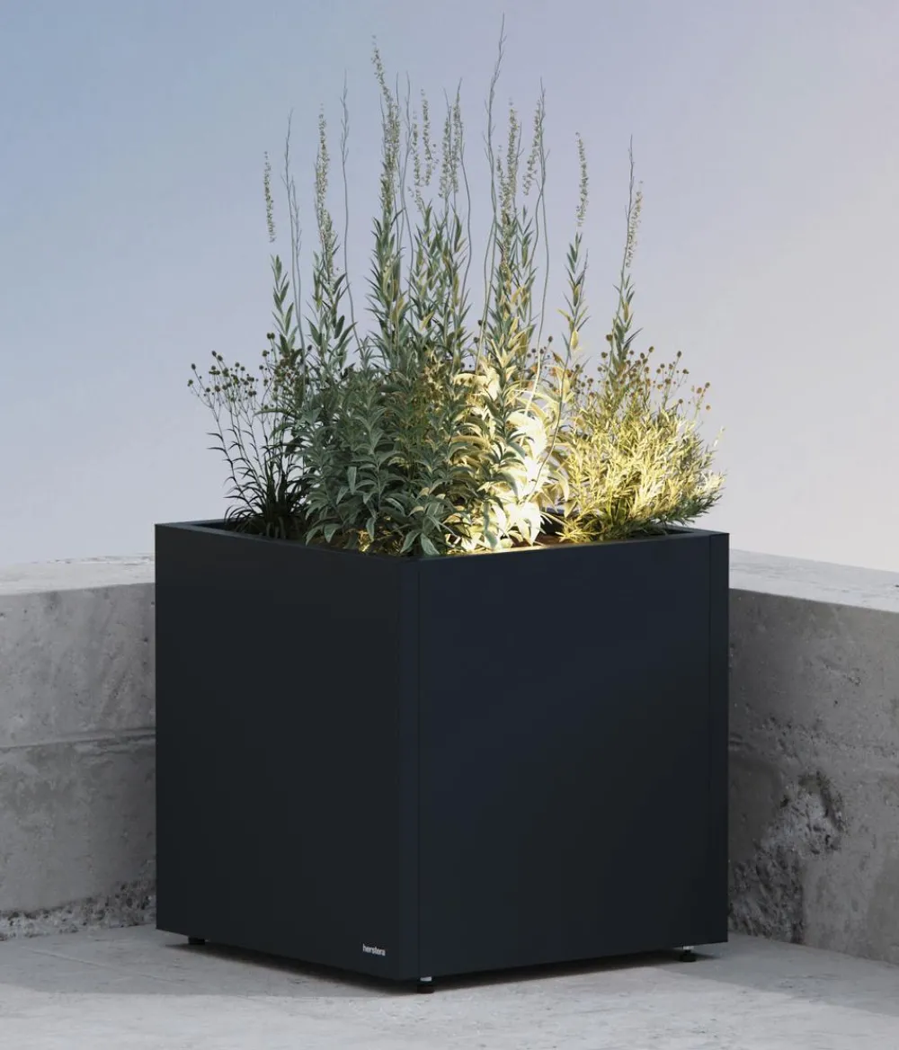 Herstera Metall-Pflanzkasten Cube LED, quadratisch, Anthrazit Best