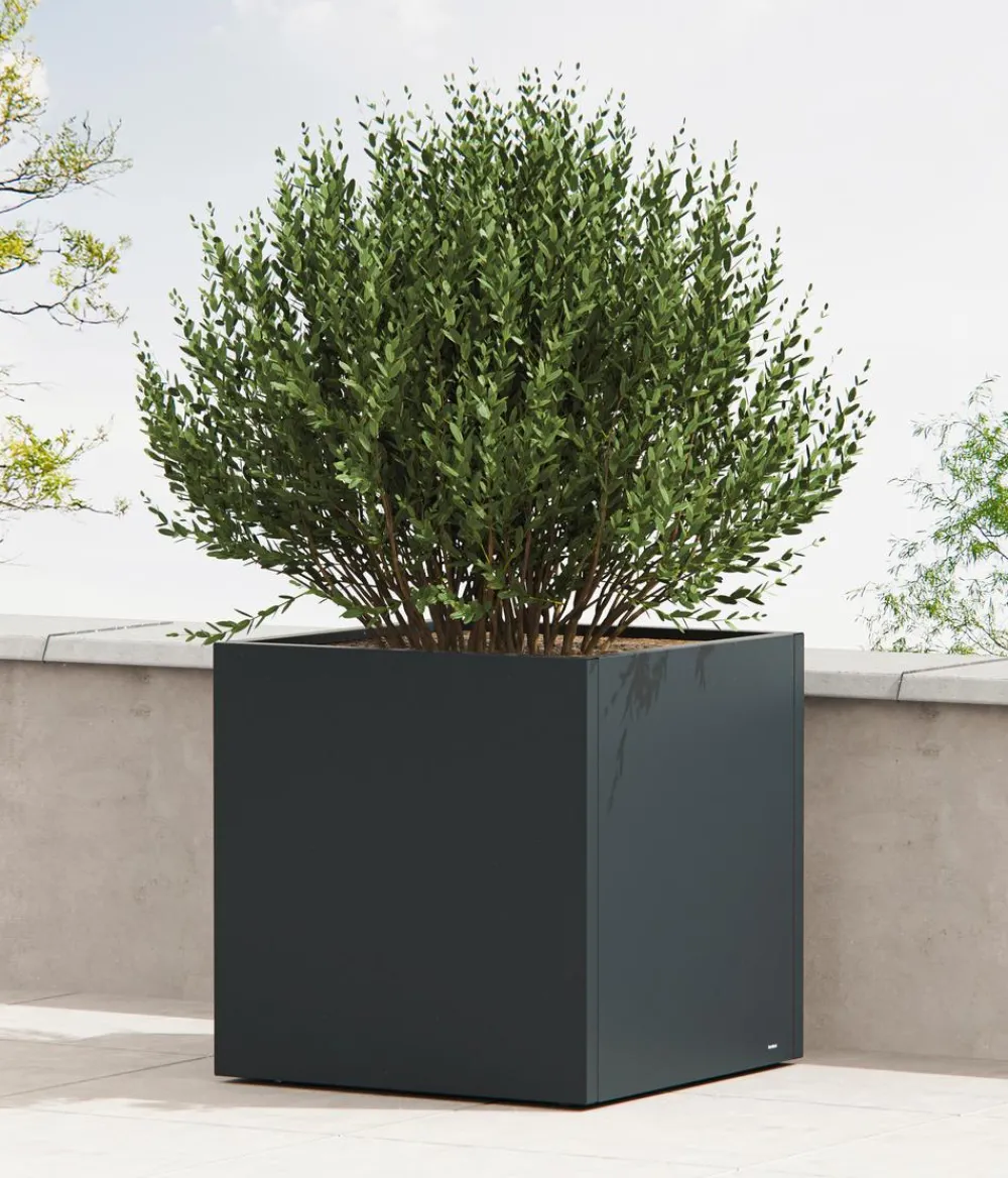 Herstera Metall-Pflanzkasten Cube LED, quadratisch, Anthrazit Best