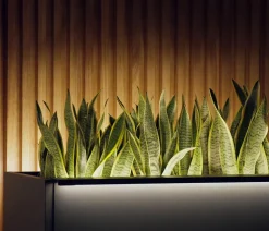 Herstera Pflanzkübel & Blumenkästen - Metall-Pflanzkasten Cube Xic LED, rechteckig, Anthrazit