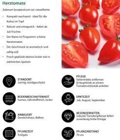 Dehner Herztomate Rot New