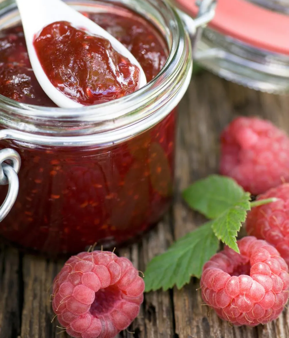 Dehner Himbeeren Himbeeren & Brombeeren|Beerensträucher - Himbeere 'Erntesegen' Rot