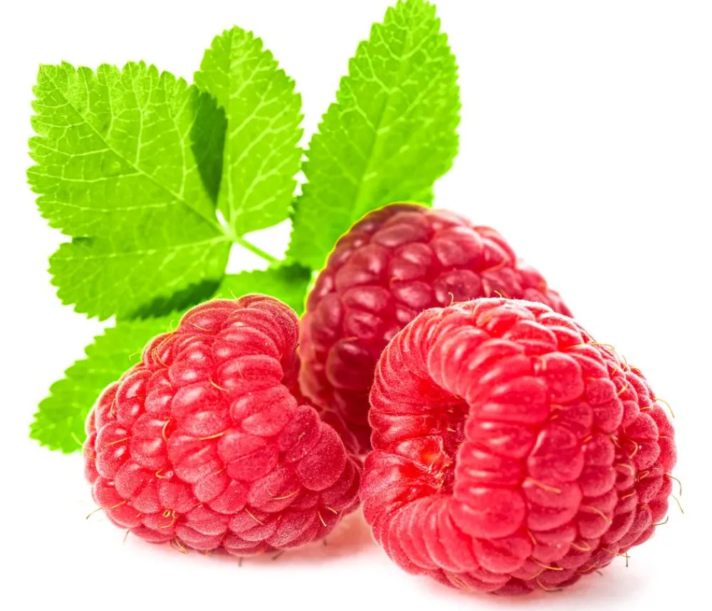 Dehner Himbeeren & Brombeeren|Beeren-Sets > Himbeer-Set Himbeer-Quartett, 4-teilig