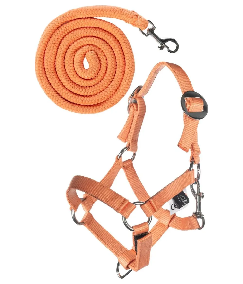 HKM KIDS Hobby Horsing Basic Halfter und Strick Orange Best