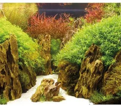 Hobby® Deko > Aquarium Rückwand Canyon/Woodland