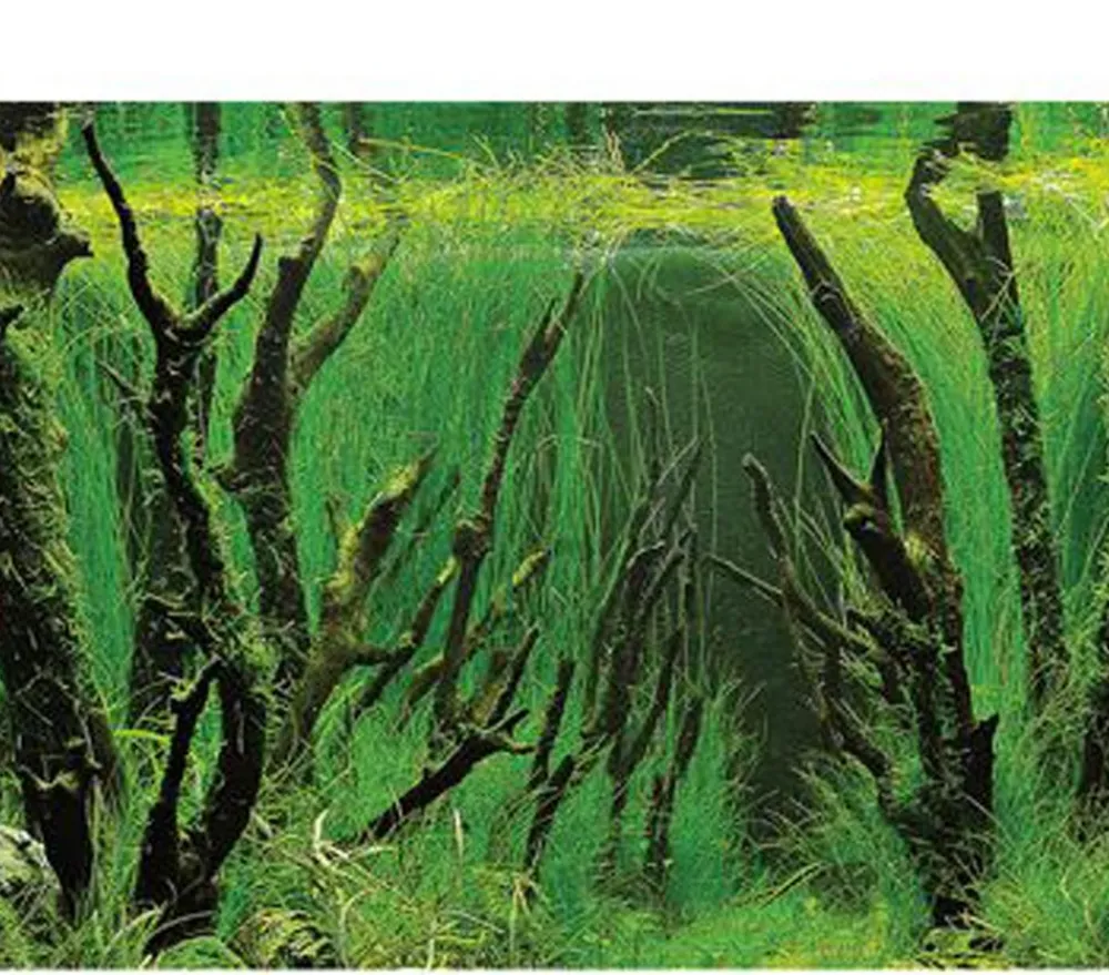 Hobby® Aquarium Rückwand Canyon/Woodland Best