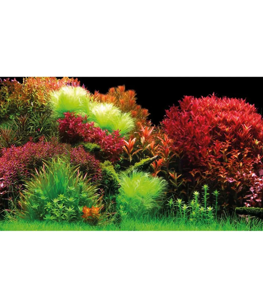 Hobby® Deko > Aquarium Rückwand Ocean/Ruby Lake