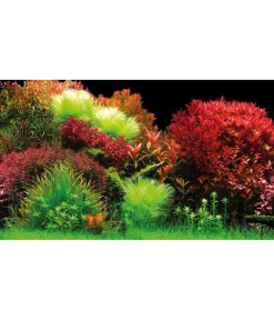Hobby® Aquarium Rückwand Ocean/Ruby Lake Discount