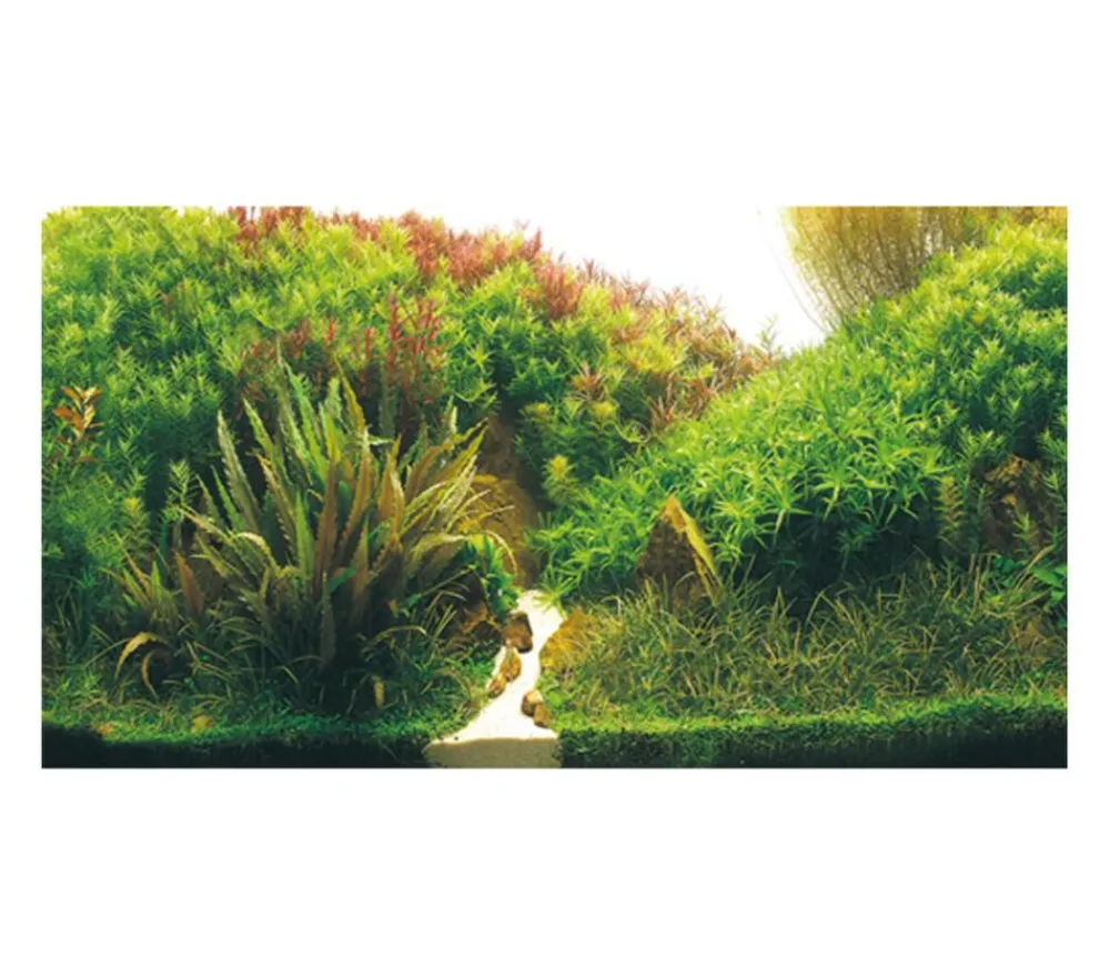 Hobby® Deko > Aquarium Rückwand Planted River/Green Rocks