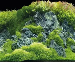 Hobby® Aquarium Rückwand Planted River/Green Rocks Outlet