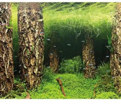 Hobby® Deko > Aquarium Rückwand Scaper's Hill/Scaper's Forest