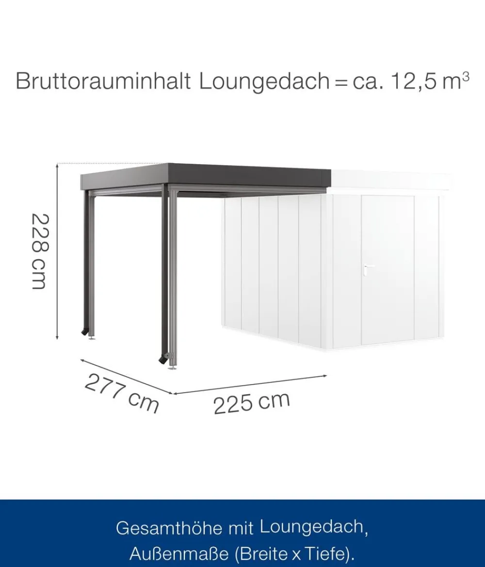 Hörmann Dachzubehör - Juno Loungedach für JFD6/10/13, ca. B225/H220/T277 cm Anthrazit