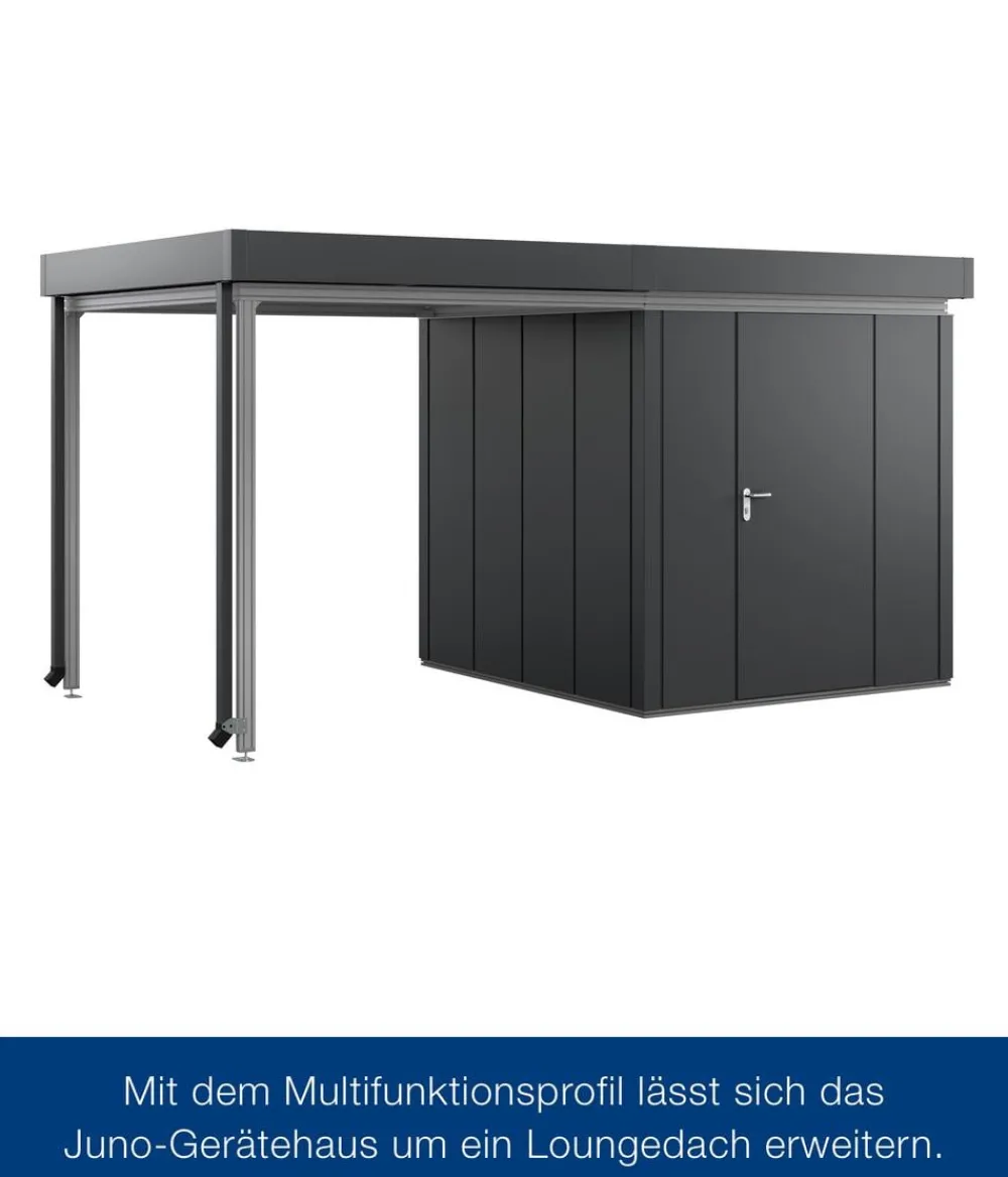 Hörmann Zubehör & Ausstattung > Juno Multifunktionsprofil für JFD10, ca. B262/T262 cm