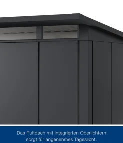 Hörmann Gartenhäuser & Gerätehäuser - Metallgerätehaus Juno JPD4 L-Sk Motiv Design, ca. B229/H224/T214 cm Graualuminium