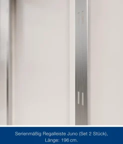 Hörmann Gartenhäuser & Gerätehäuser > Metallgerätehaus Juno JPD4 M-Sk Motiv Modern, ca. B229/H224/T214 cm