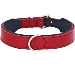 HUNTER® Hundehalsbänder & Geschirre - Hundehalsband Basic, /