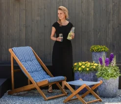 Dehner Sommerblumen > Husarenknöpfchen
