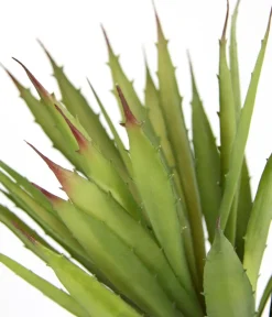 I.GE.A Kunstpflanzen - . Kunstpflanze Agave im Kunststoff-Topf, ca. H38 cm Grün