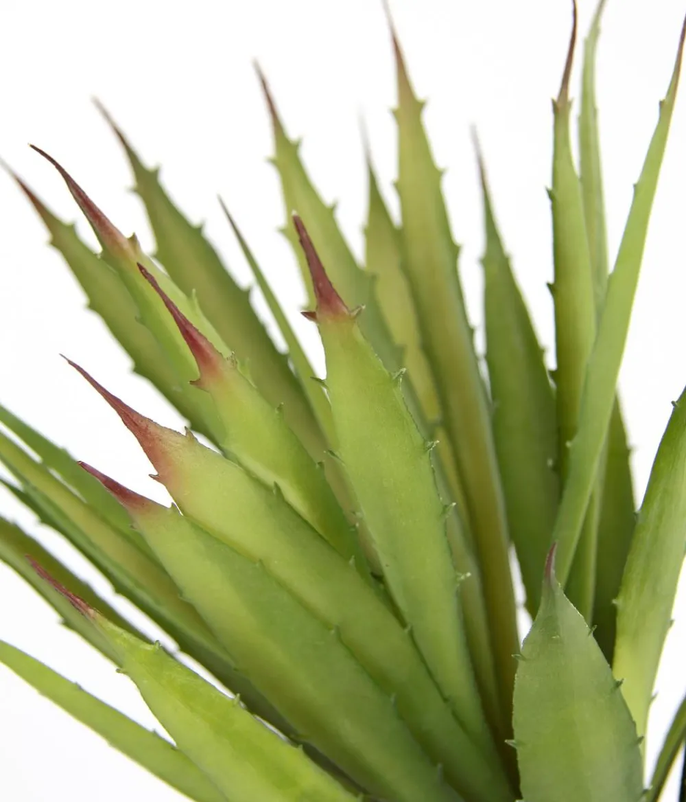 I.GE.A Kunstpflanzen - . Kunstpflanze Agave im Kunststoff-Topf, ca. H38 cm Grün