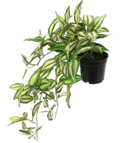 I.GE.A Kunstpflanzen - Kunstpflanze Dreimasterblume Tradescantia Zebrina im Kunststoff-Topf, ca. H23 cm Grün