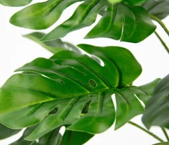 I.GE.A . Kunstpflanze Monstera im Wasserhyazinthentopf, ca. H46 cm Grün
