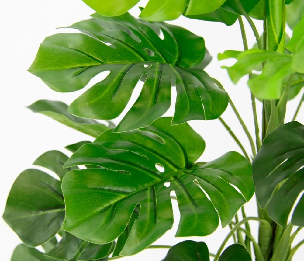 I.GE.A . Kunstpflanze Monstera im Wasserhyazinthentopf, ca. H46 cm Grün