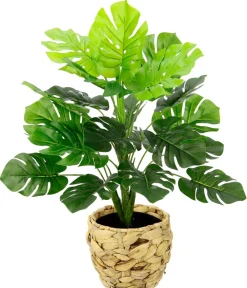I.GE.A . Kunstpflanze Monstera im Wasserhyazinthentopf, ca. H46 cm Grün