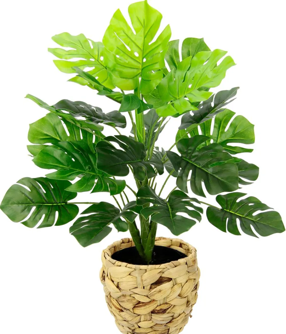 I.GE.A . Kunstpflanze Monstera im Wasserhyazinthentopf, ca. H46 cm Grün