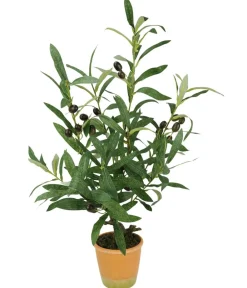 I.GE.A Kunstpflanzen > . Kunstpflanze Olive mit schwarzen Oliven, im Topf, ca. H57 cm