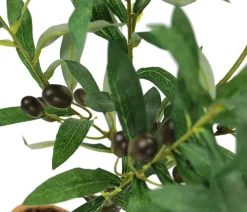 I.GE.A Kunstpflanzen > . Kunstpflanze Olive mit schwarzen Oliven, im Topf, ca. H57 cm