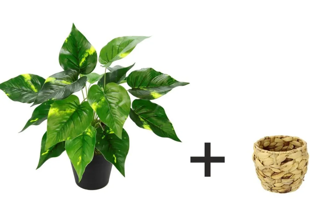 I.GE.A . Kunstpflanze Pothos im Wasserhyazinthentopf, ca. H40 cm Grün Best