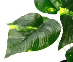 I.GE.A . Kunstpflanze Pothos im Wasserhyazinthentopf, ca. H40 cm Grün Best