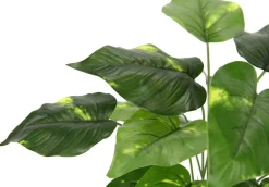 I.GE.A . Kunstpflanze Pothos im Wasserhyazinthentopf, ca. H40 cm Grün Best