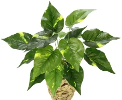 I.GE.A . Kunstpflanze Pothos im Wasserhyazinthentopf, ca. H40 cm Grün Best