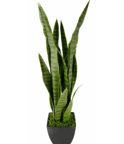 I.GE.A . Kunstpflanze Sansevieria im Kunststoff-Topf, ca. H75 cm Grün Hot
