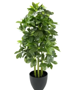 I.GE.A . Kunstpflanze Schefflera im Topf, ca. H83 cm Hot
