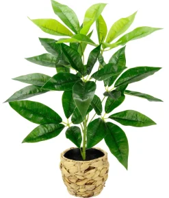 I.GE.A Kunstpflanzen > Kunstpflanze Schefflera im Wasserhyazinthentopf, ca. H48 cm