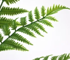 I.GE.A . Kunstpflanze Waldfarn im Topf, ca. H90 cm Discount